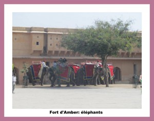 Jaipur; fort amber