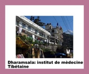 daramsala -Men-tsee-khang soit institut de medecine tibetaine