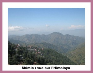 shimla