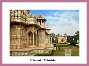 shivpurichhatris-of-shivpuri_700_0